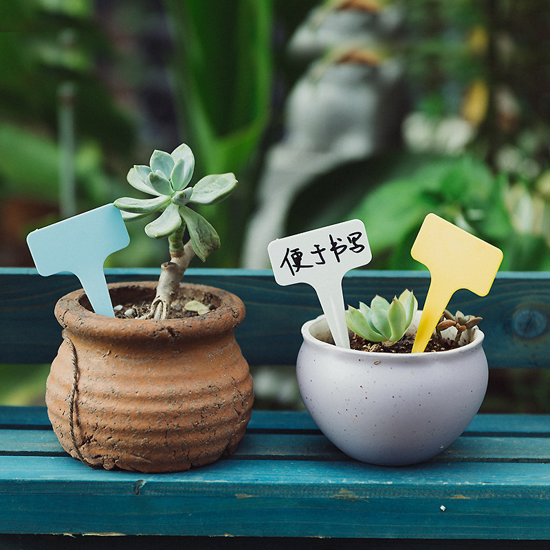 Multi Meat Labels Waterproof Gardening Plastic Small Inserts Potted potted labels Multimeat plant names 100