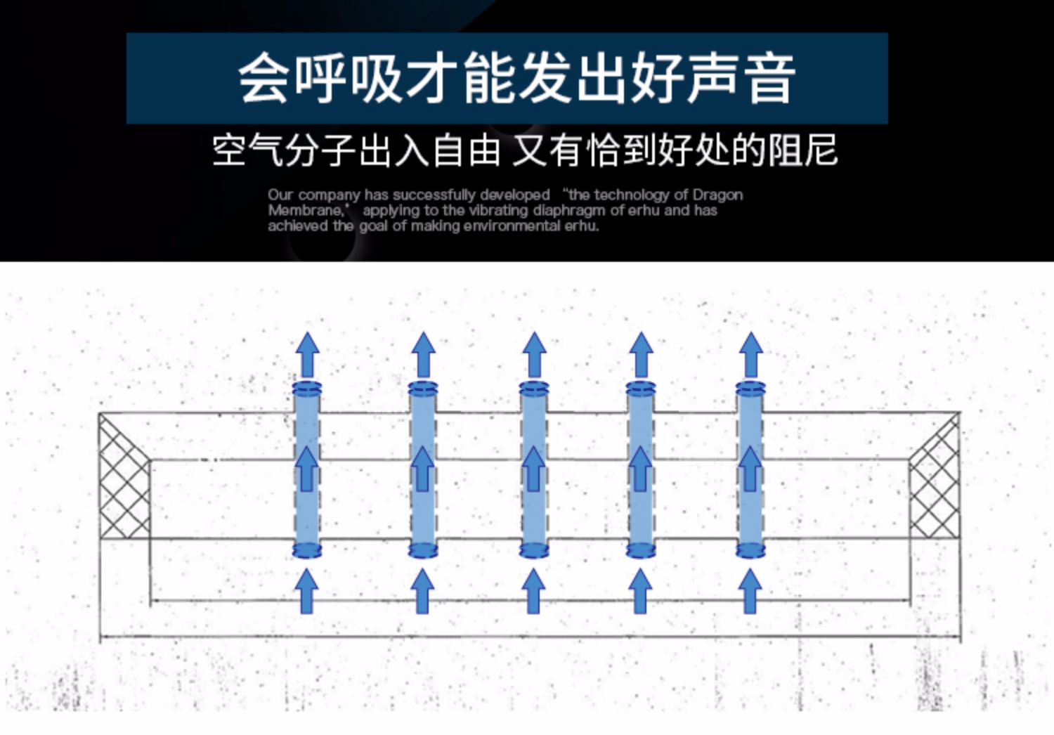 Wen Hao Erhu Rosewood Erhu Nhạc cụ dành cho người lớn Chuyên nghiệp Chuyên nghiệp Sân khấu cao cấp Trình diễn Dragon Film Direct - Nhạc cụ dân tộc đàn cổ tranh