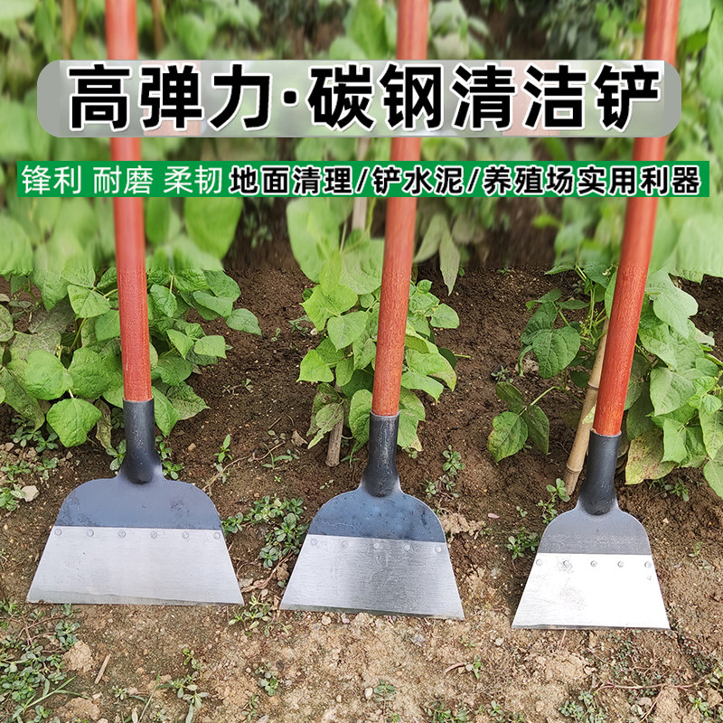 平铲子除草铲草神器锰钢铁锹猪粪养殖场鸡屎地皮墙面清洁农用工具