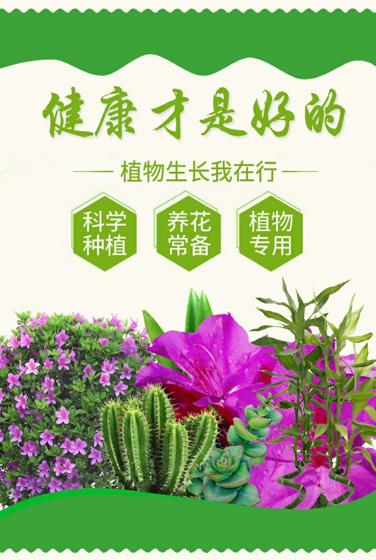 Vật tư làm vườn, bảo vệ môi trường, hoa, chất điều hòa sinh trưởng thực vật mới, cây xanh, chlormequat, paclobutrazol vòi phun nước tưới cây