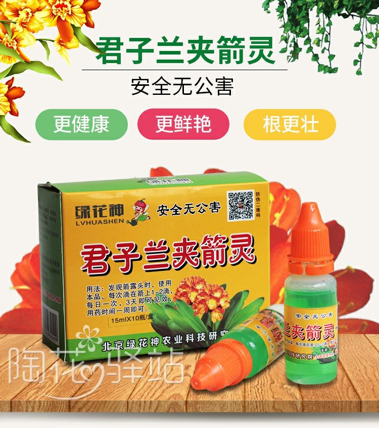 Cung cấp vườn, hoa, cây, dược phẩm, bảo vệ môi trường, tập trung, quý ông, phong lan, mũi tên, tinh thần, hiệu quả cao, không độc hại, hoa xanh, đại lý lùn vòi tưới nhỏ giọt