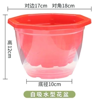 180 Octagonal+прозрачный горшок+ватный веревку