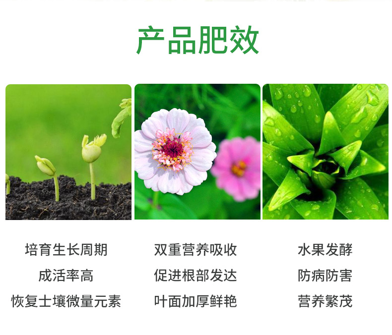 Nhà làm vườn cung cấp phân bón hoa và rau phân bón hữu cơ phát hành hữu cơ phát hành phân bón phát hành chậm phân bón trồng phân bón tác dụng dài - Nguồn cung cấp vườn bồn trồng cây