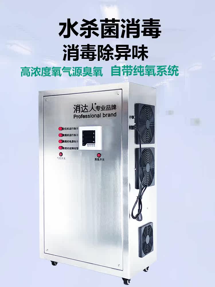 Disinfectant master 10Y oxygen source high concentration ozone generator Water treatment industrial sterilization Color deodorant odor