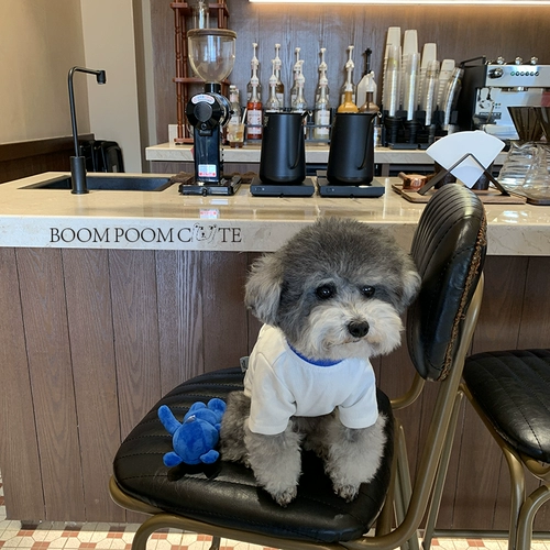 /Взрывное маленькое милое/домашнее лето с домашними животными Клайн сбежали от медведей, Тедди Т -рубашки