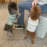 /Взрыв маленький милый/собака собак в летнем маленький клуб полосатый бамбук хлопковой плюшевый плюшевый