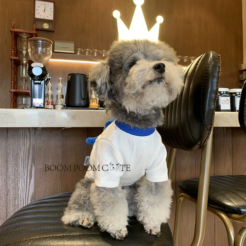 /Взрывное маленькое милое/домашнее лето с домашними животными Клайн сбежали от медведей, Тедди Т -рубашки