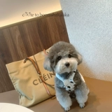 Милое оригинальное летнее брендовое платье-комбинация