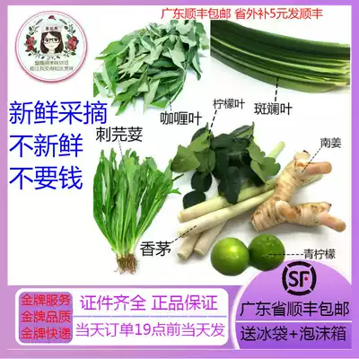 Fresh colorful leaves lemon leaves South ginger curry leaves lemongrass Thorn coriander 500g not fresh bag returned