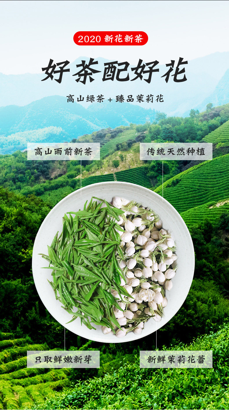 文君牌 浓香型茉莉花茶 125g 图1