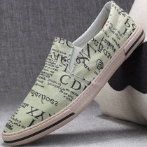 Summer Breathable Mens Shoes Mens trendy shoes Joker Mens Casual Shoes A Pedal Driving Lazy Shoes