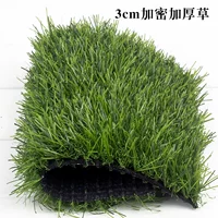 3 см. Зашифрованная трава детского сада (15 шифрования иглы/дно сетки толщина)