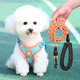 Dog Leash Vest Puppy Small Dog Chest Strap Bichon Teddy Bomei Walking Leash Puppy Chain