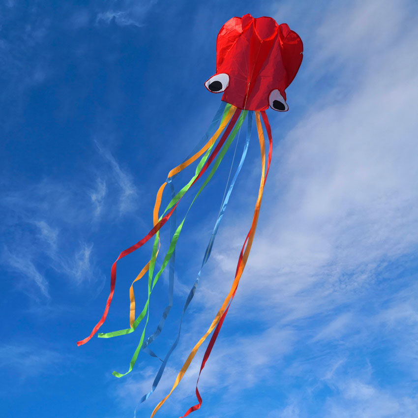 Weifang soft body octopus kite new large high-end adult soft body octopus breeze easy to fly beginner children