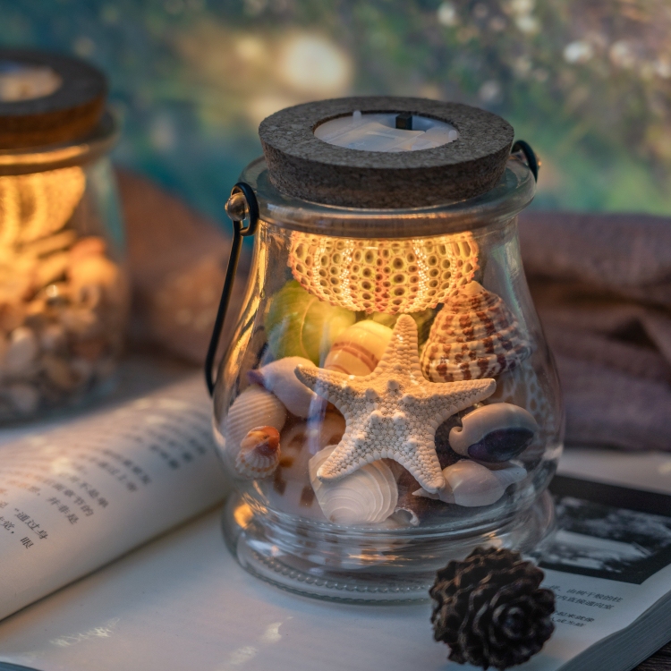 Sea Urchin Lamp, Shell Atmosphere Night Light, Shell Storage Bottle, Creative Desktop Lamp, Birthday Gift, Dalian Souvenir
