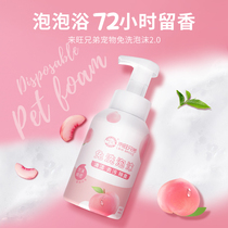 Pet Rabbit Dry Cleaning Foam Young Dog Young Rabbit Free From Washing And Removing Mites Aromas Balm Dry Cleaning Body Wash