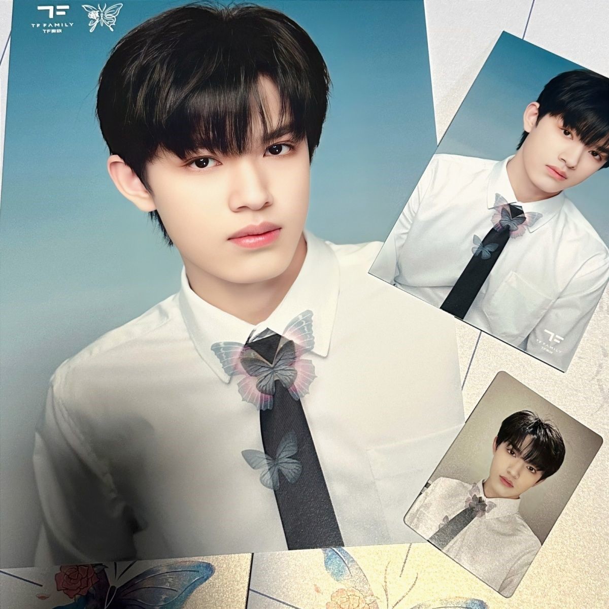 TF家族三代蝴蝶效应演唱会场周收藏款张极张峻豪海报明信片小卡-淘宝网