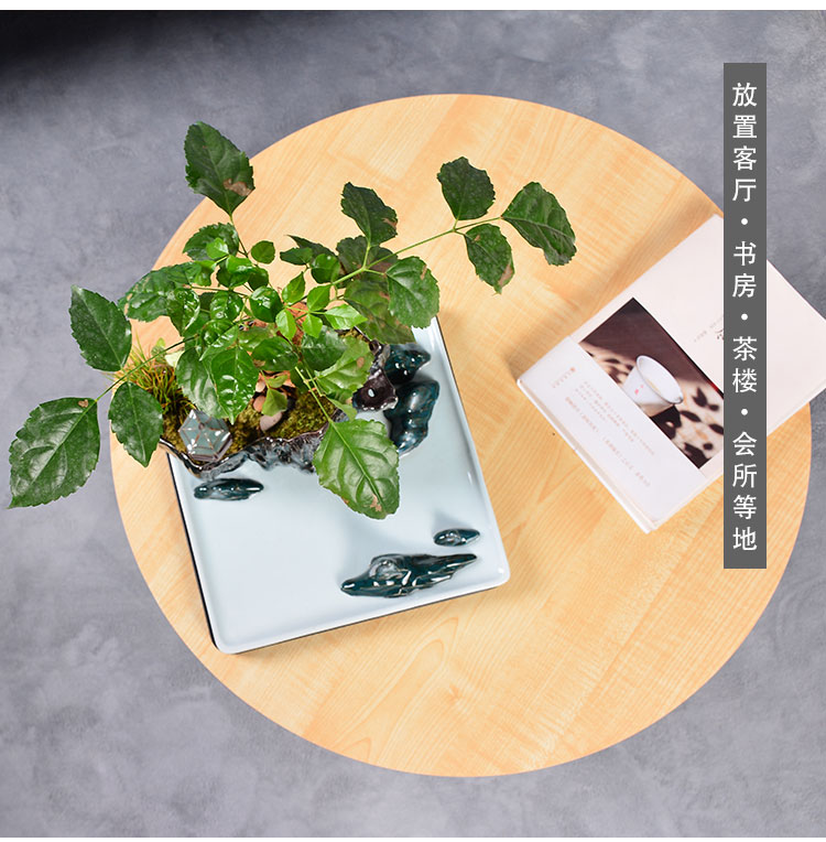 New Chinese style household furnishing articles combination bonsai rockery green plant large fleshy money plant bracketplant flowerpot ceramic landscape basin