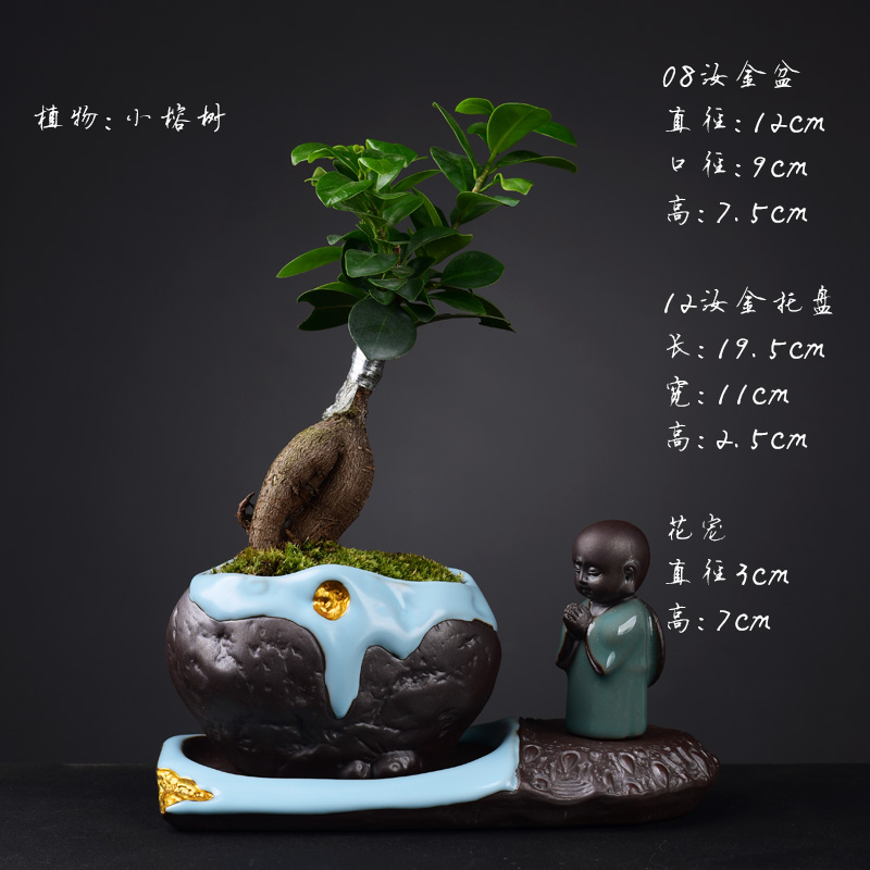 Creative potted bonsai POTS of new Chinese style household chamber the plants green asparagus calamus flowerpot porcelain basin