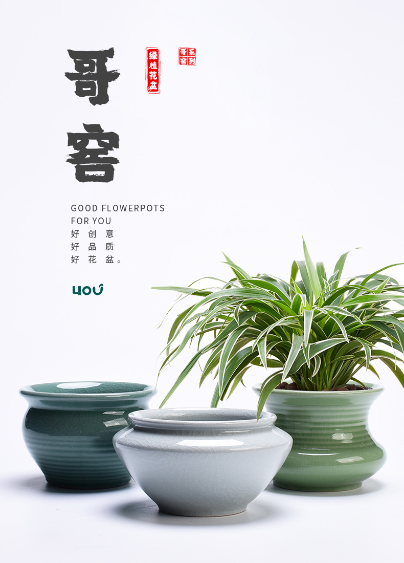 Bracketplant flowerpot brother ceramic up household green plant special other meaty plant butterfly orchid orchid pot creative basin