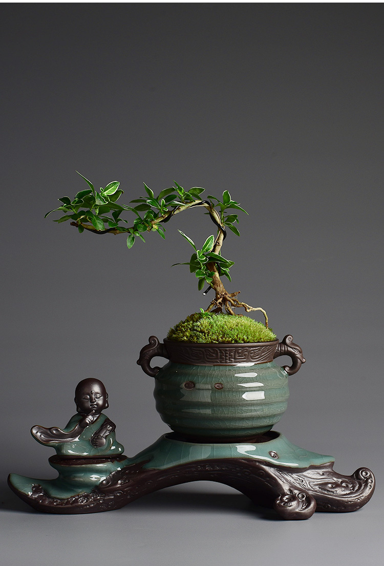 Elder brother up POTS zen composite ceramic creative purple asparagus bonsai pot young monk home furnishing articles in the living room