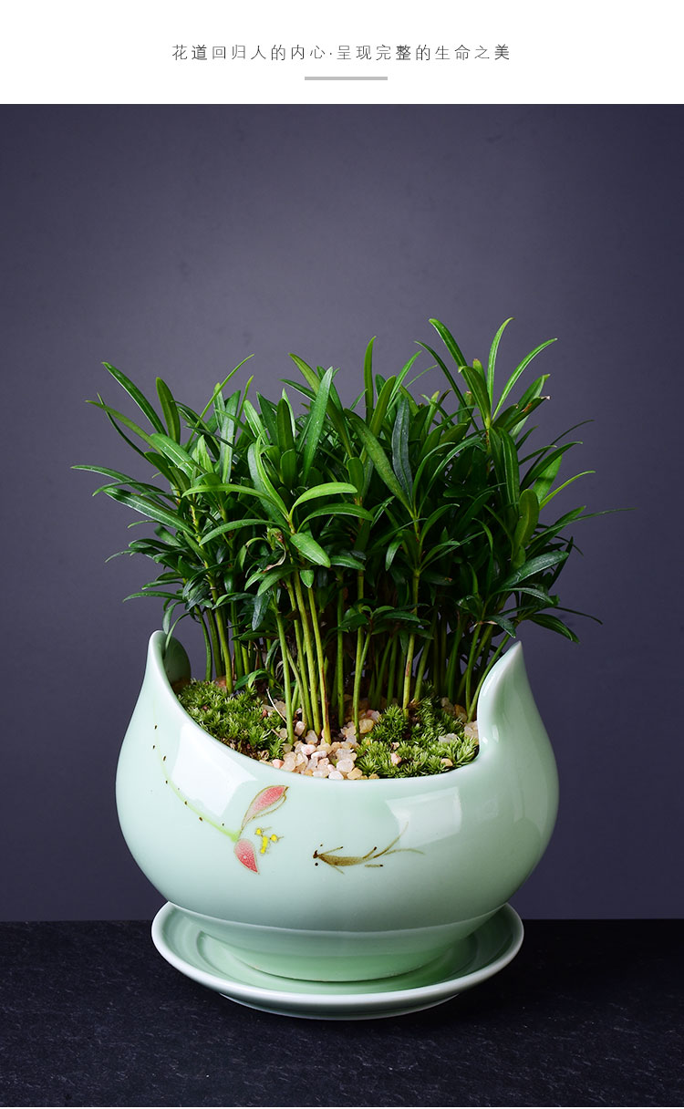 Ceramic POTS with extra large tray was contracted household indoor green, the plants money plant flowers, potted orchids get rich tree