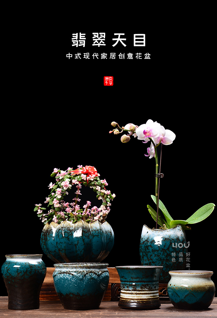 Fleshy flowerpot ceramic Chinese wind, green plant special creative household butterfly orchid bracketplant flesh asparagus pot the plants