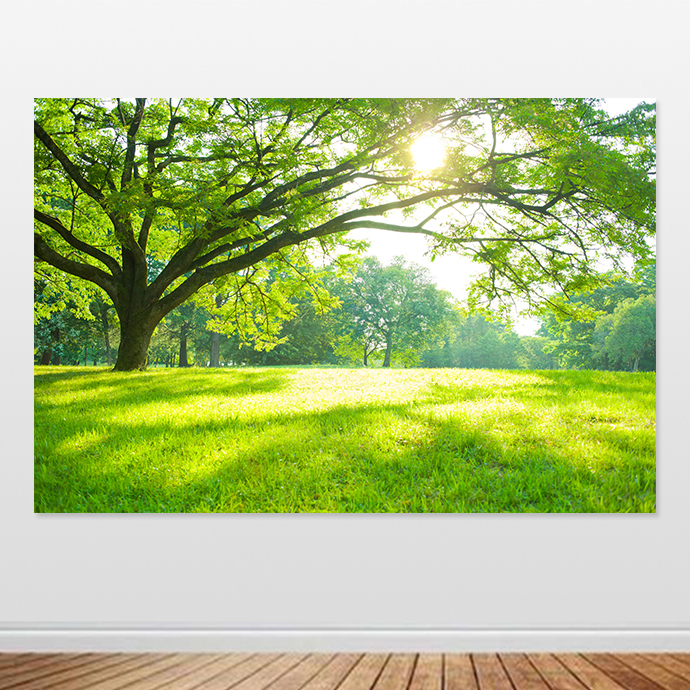 Sunshine Forest Self-Adhesive Painting Big Tree Green Grass Living Room Bedroom Decorative Painting Eye-Protecting Green Tree Big Tree Decorative Painting