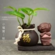 Sáng tạo nhà sư nhỏ hoa trang trí nhà trang trí bàn trà hoa màu xanh lá cây hoa bình hoa gốm thủy canh - Vase / Bồn hoa & Kệ chậu nhựa trồng hoa