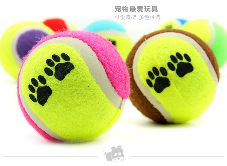 Chó đồ chơi bóng cắn lông vàng Teddy Samoyed mol mol đồ chơi con chó con đồ chơi tennis