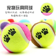 Chó đồ chơi bóng cắn lông vàng Teddy Samoyed mol mol đồ chơi con chó con đồ chơi tennis