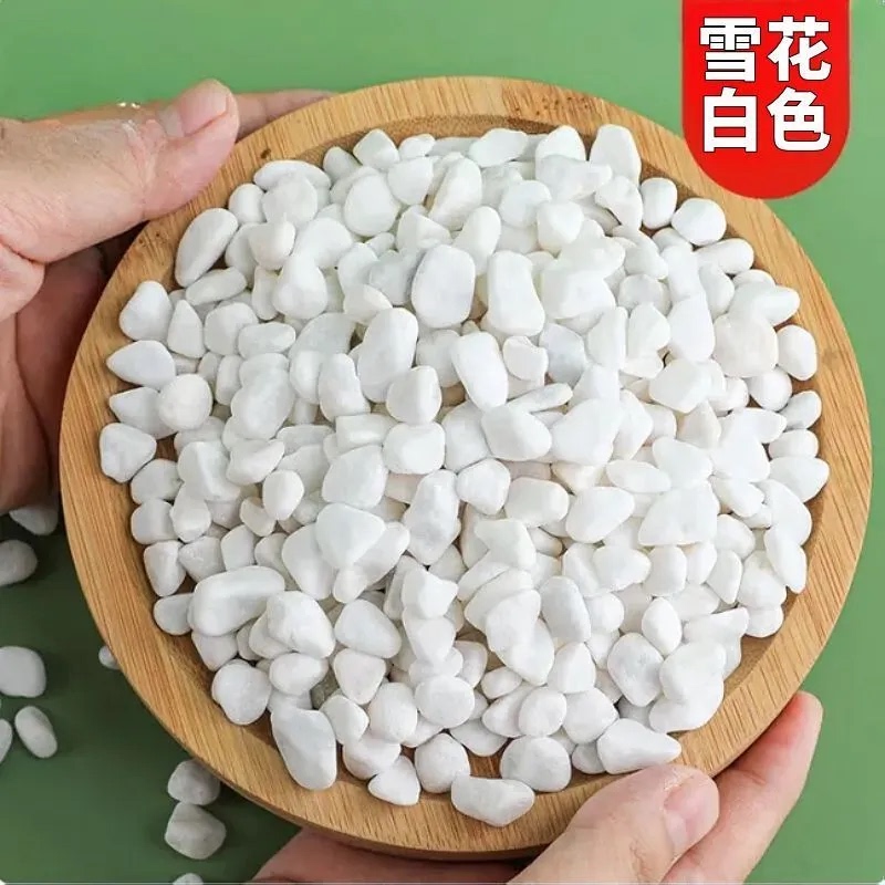Premium White Pebbles from Changsha, Breathable Paving Stones, Special Pebbles for Succulent Flower Pots, and Decorative Stones for Flower Cultivation Premium White Pebbles from Changsha, Breathable Paving Stones, Special Pebbles for Succulent Flower Pots, and Decorative Stones for Flower Cultivation