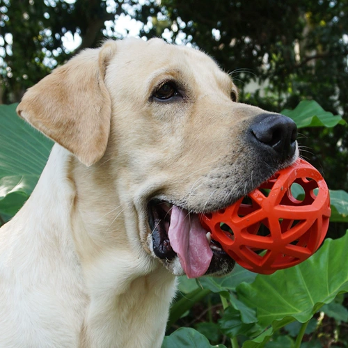 Утечка для игрушек для домашних животных, размолоть зуб резиновые шарики щенки для головоломки для собак игрушки лабрадор золотисто