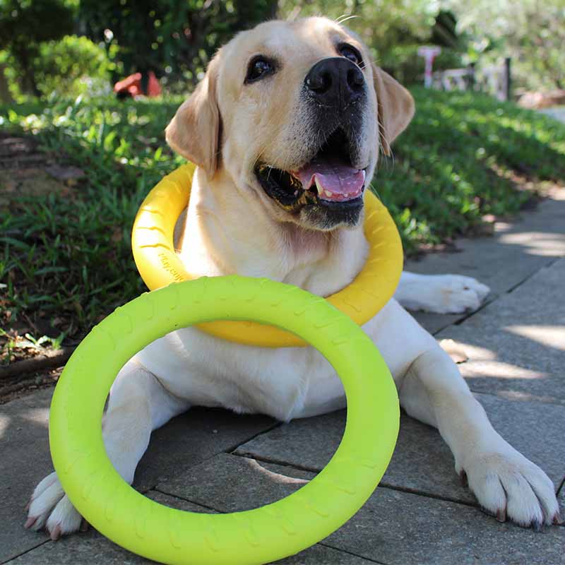 Pet toys bite-resistant puppy molar interactive ring bite gum ball golden retriever Labrador medium and large dog supplies