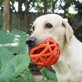 Утечка для игрушек для домашних животных, размолоть зуб резиновые шарики щенки для головоломки для собак игрушки лабрадор золотисто