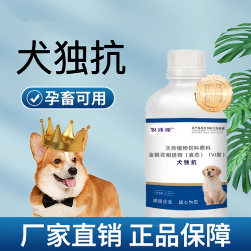 Подлинная собачья одноэпидемия | двойной удаление кошачьего и собачьего антивирусного кашля кашель кашля