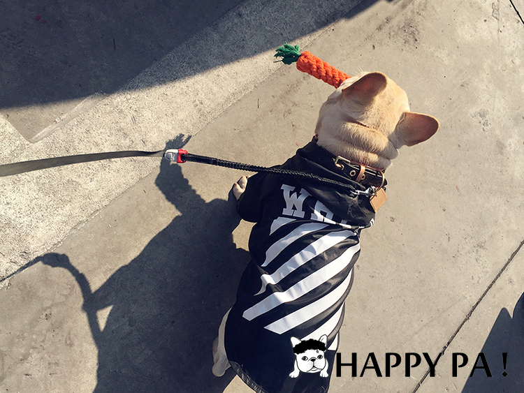 HPS pet triều thương hiệu dog cat cắn rope knot cà rốt knot knot răng đồ chơi con chó mol que đồ chơi đồ chơi cho mèo tự chơi