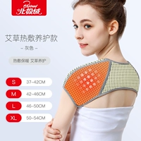 Медицинская полыминая лихорадка и защита от кормления серо-серой [применимый периартрит плеча, боль в ревматизме, боль в плече]]