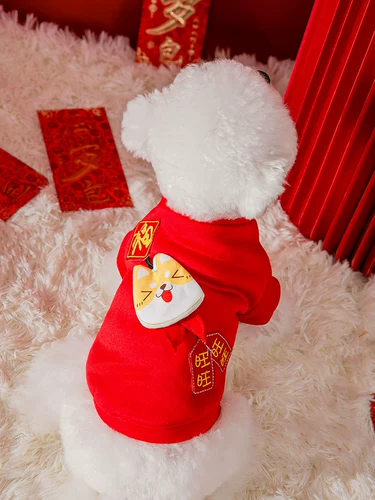 Милая осенняя весенняя праздничнная толстовка