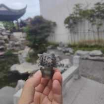 Couples home daily use thorn ring anti-falling ring advanced diy jewelry accessories set bead soft and skin-friendly design