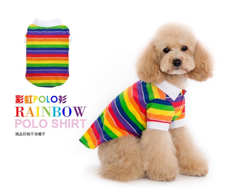 Mùa hè 2016 DOGO sẽ cầu vồng cho chó áo sơ mi POLO - Quần áo & phụ kiện thú cưng áo múa lân cho chó