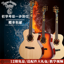 Tiger Tiger Tiger card Mountain Road single board folk guitar beginner grade test professional performance instrument