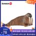 Sile schleich walrus 14804 sinh vật biển mô phỏng động vật hoang dã búp bê cậu bé món quà nhỏ - Đồ chơi gia đình đồ chơi trí tuệ Đồ chơi gia đình