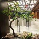 Моделирование японских висящих деревьев озеленение зеленые растения в крыло