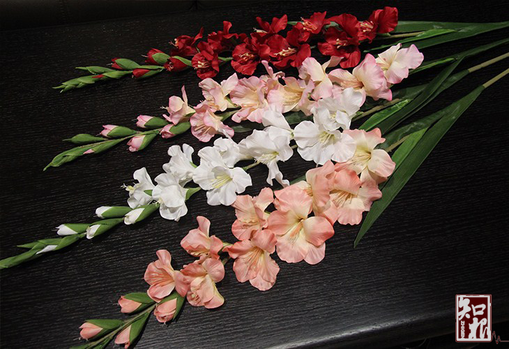 Hoa trang trí hoa nhân tạo sàn hoa phòng khách hoa cắm hoa giả hoa lay ơn hoa khô - Hoa nhân tạo / Cây / Trái cây tường cây giả
