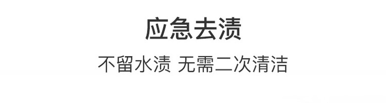 【中國直郵】網易嚴選 免洗便攜去漬筆 白衣服去油去污神器 乾洗劑 緊急去漬