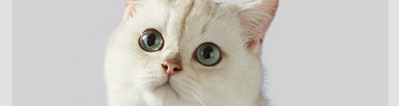 网易严选 活性炭豆腐混合猫砂去味除臭无尘猫沙10公斤砂20斤包邮