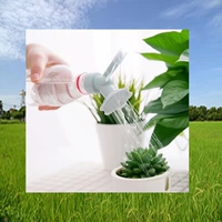 Ограниченные временные преимущества