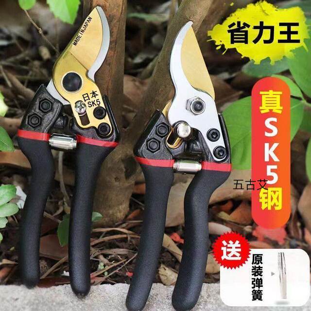 ນຳເຂົ້າ SK5 steel pruning scissors branch shears fruit branch flower shears fruit tree scissors ສວນເຮັດສວນ ມີດຕັດ ສາຂາຫນາ shears