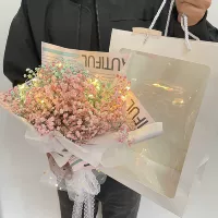 Рекомендуемые смешанные модели с красным и синим окном на набережной